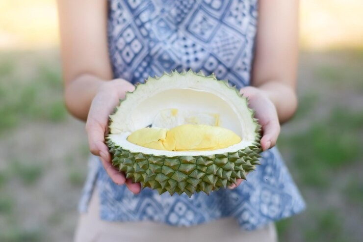 Bunda menyusui makan durian, Durian untuk ibu menyusui, Makanan yang dilarang untuk ibu menyusui, Manfaat durian bagi bunda menyusui, Apakah bunda menyusui boleh makan durian, Durian dan ASI, Makanan sehat untuk ibu menyusui, Cara aman makan durian 